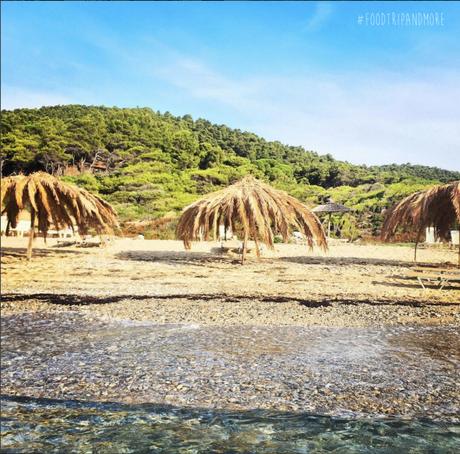 Agistros beach in Skiathos | Fodtrip and mORE