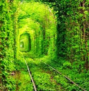 Psicopittografia, Come affrontare e superare le crisi della vita