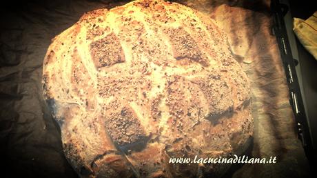 Pane di Bonci con Licoli