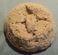 Schiacciata di farro con semi di zucca (ricetta bimby)