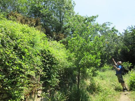 Holidays in Tuscany-5