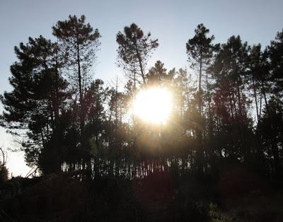 Holidays in Tuscany-5