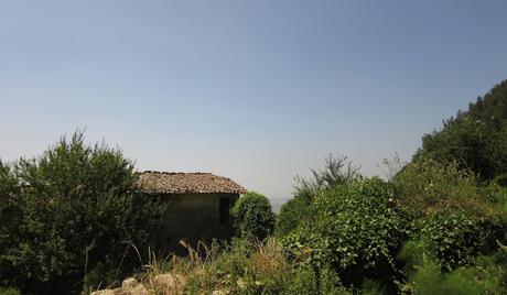 Holidays in Tuscany-5