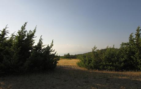 Holidays in Tuscany-5