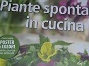 Piante spontanee cucina