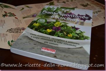 Piante spontanee in cucina (4)