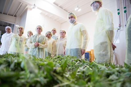 Il #TeamPastasciutta alla Barilla (innovazione, tradizione e scofanate)