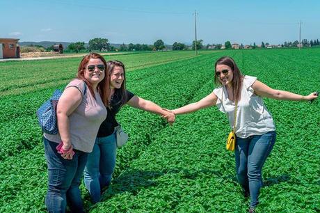 Il #TeamPastasciutta alla Barilla (innovazione, tradizione e scofanate)