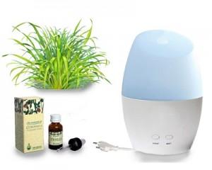 Combattere le zanzare con gli oli essenziali