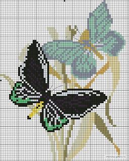 Butterfly di ogni colore a punto croce