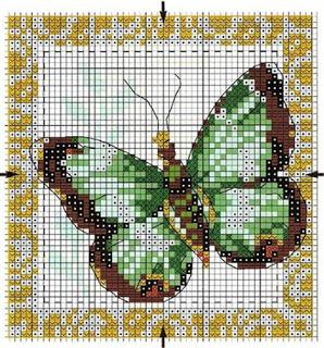 Butterfly di ogni colore a punto croce