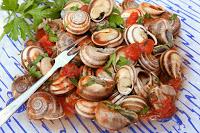 CHERASCO (cn). Torna lumaca tradizionale Incontro Internazionale Elicicoltura 