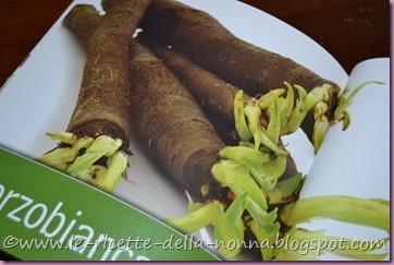 Radici e tuberi in cucina (6)