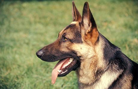 SCUSATEMI, MA NON POTEVO SORVOLARE SU QUESTA NOTIZIA E NON FARVENE PARTECIPI, ANCHE SE IMMAGINO I VOSTRI OCCHI AL CIELO