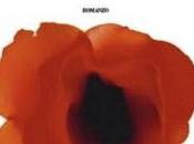 come “Non chiedermi nata”. Annarita Briganti)