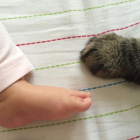 Just a click / Summer recap