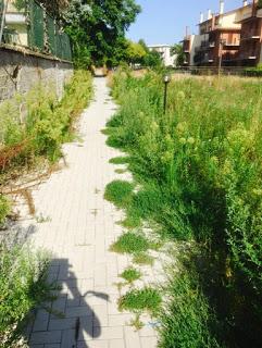 PAVIA. Qualche perplessità sul super appalto per il verde pubblico