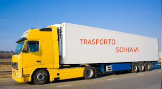 vero proprio network degli scafisti d'asfalto