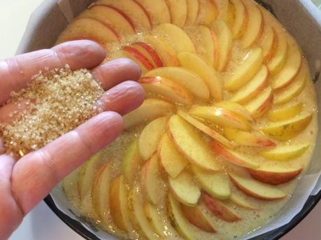 TORTA DI MELE SENZA UOVA E SENZA LATTICINI