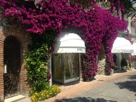 The Amazing Capri IMG_7378