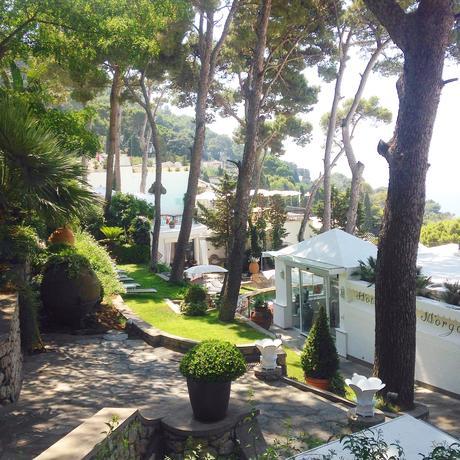 The Amazing Capri IMG_7469