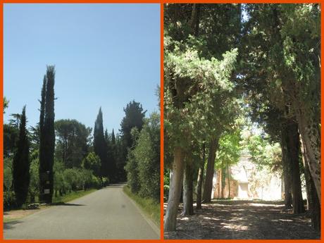 Holidays in Tuscany-6
