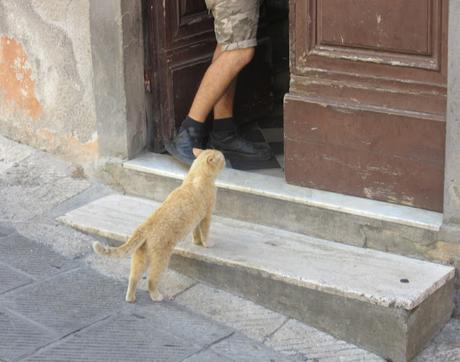 Holidays in Tuscany-6