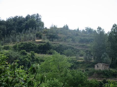 Holidays in Tuscany-6