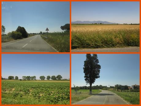 Holidays in Tuscany-6