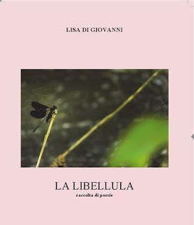 Intervista di Pietro De Bonis a Lisa Di Giovanni, autrice del libro “La Libellula”.