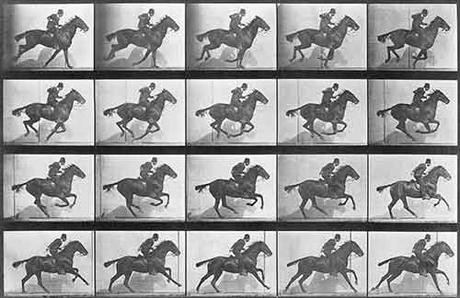 Eadweard Muybridge, The Horse in motion - Serie di 24 fotografie che ritraggono il galoppo di un cavallo
