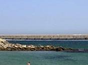 Oggi andiamo Spagna: Andalusia portami