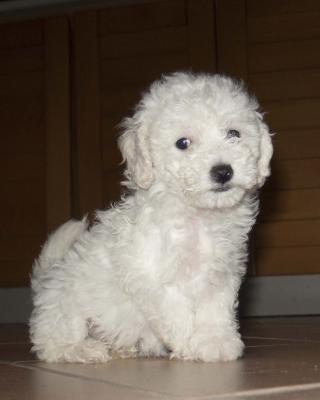 The Back to school Book Tag