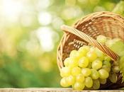 Festa dell’Uva 2015 Solopaca