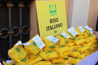 PAVIA. Riso, conto alla rovescia per la raccolta: anticipo di dieci giorni, +6% di superficie coltivata.