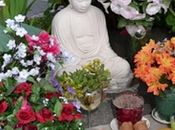 Buddha Oakland Teoria delle Finestre Rotte