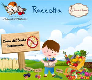 raccolta-settembre