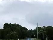 SEGNALAZIONE Latinoaustraliana Marco Zangari