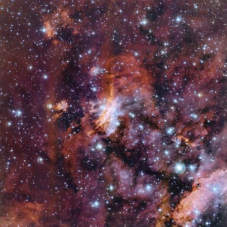 Questo prezioso ricamo di nubi di gas fa parte di un'enorme incubatrice stellare nota come Nebulosa Gambero (o anche Gum 56 o IC 4628). Presa con il telescopio da 2,2 metri dell'MPG/ESO all'Osservatorio di La Silla in Cile, questa è proabilmente una delle più belle immagini di quest'oggetto. Crediti: ESO