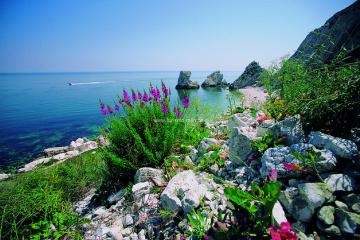 Gabicce Monte: un’oasi verde a pochi chilometri dalla Riviera Romagnola