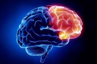 PAVIA. Bateman e Fonagy al convegno su teoria e pratica dei disturbi della personalità.