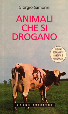 Orizzonti del reale (Pt.1)