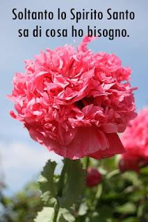 Nel mondo reale nessuno soffre perdite di nessun tipo. Parte 5.