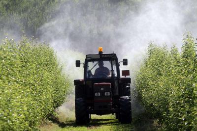 La verità sulle MELE della Val di Non e i pesticidi nelle urine