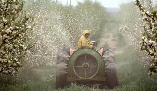 La verità sulle MELE della Val di Non e i pesticidi nelle urine