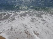 Circa migranti ricchi Stati arabi