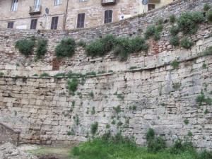Mura etrusche della Cupa