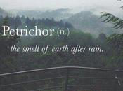 Petrichor… rainy days