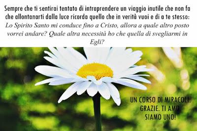 Nel mondo reale nessuno soffre perdite di nessun tipo. Parte 6.