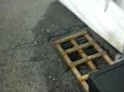 PAVIA. Protti (AD): “Chi controllato prima? come sarebbe intervenuto caso pericolo elevato?”